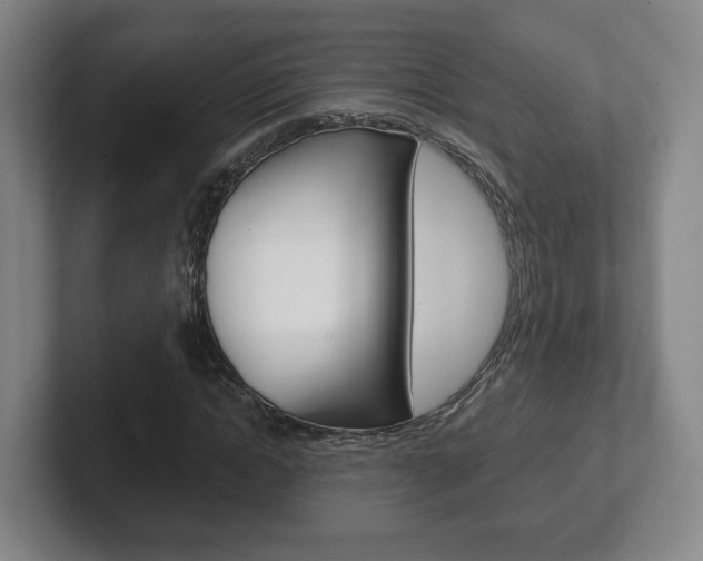 X0000102290822200807250959