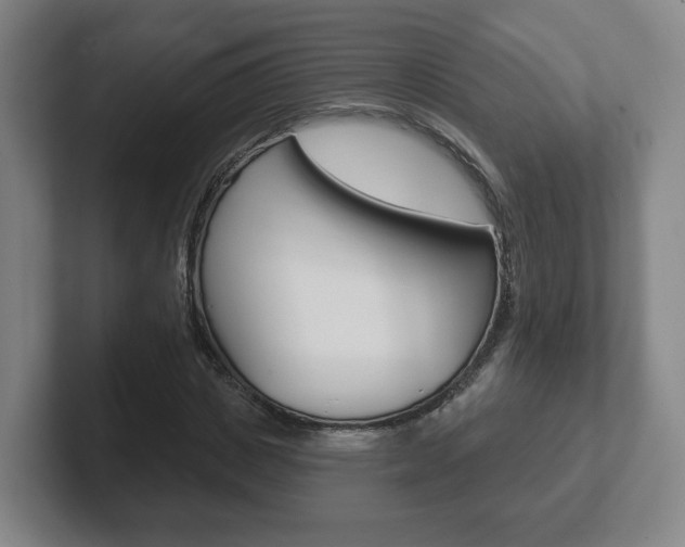 X0000102290825200807250959