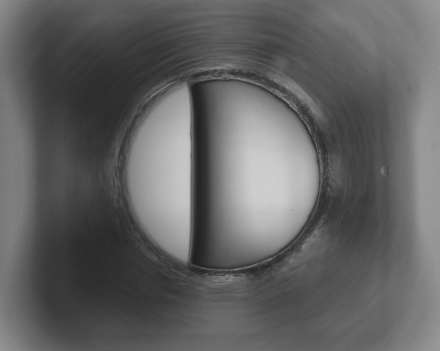 X0000102290826200807250959