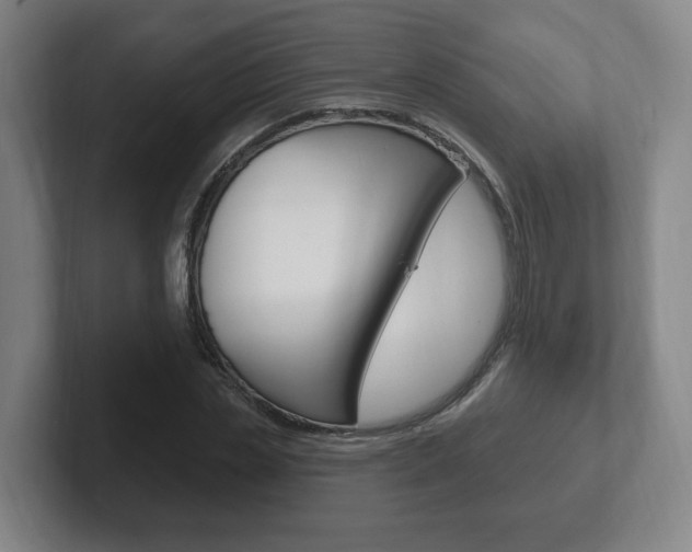 X0000102290829200807250959