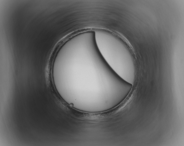 X0000102290831200807250959