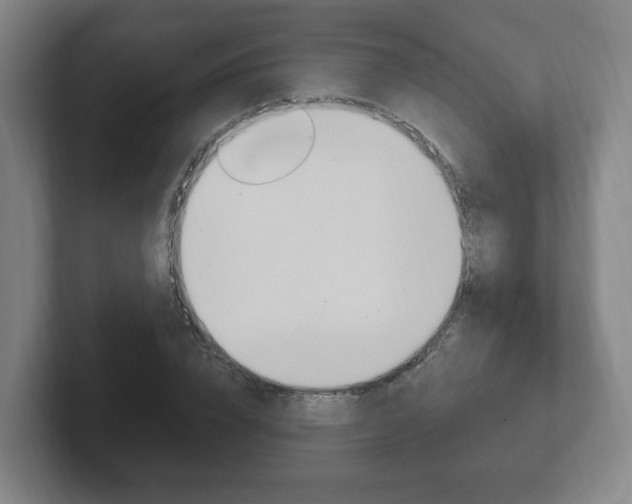 X0000102290832200807250959