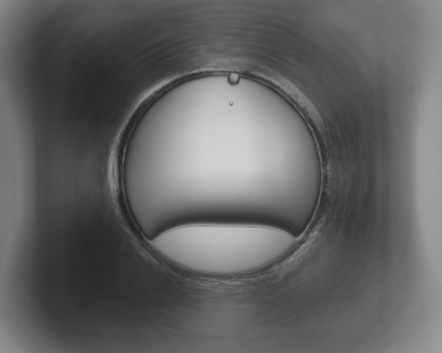 X0000102290838200807250959
