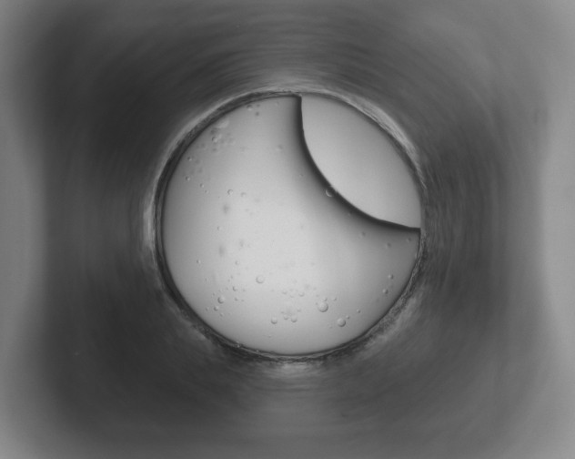 X0000102290839200807250959