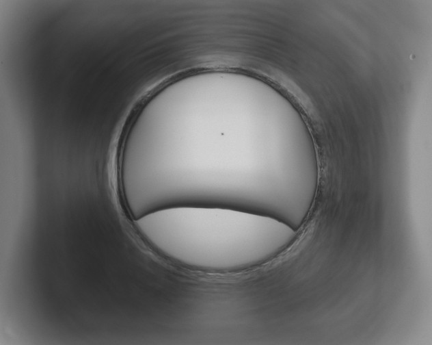 X0000102290840200807250959