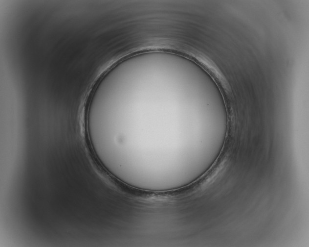 X0000102290842200807250959