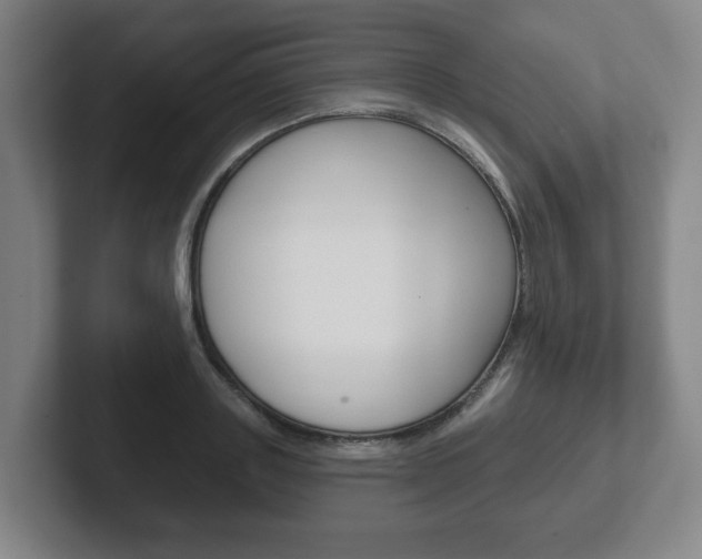 X0000102290843200807250959