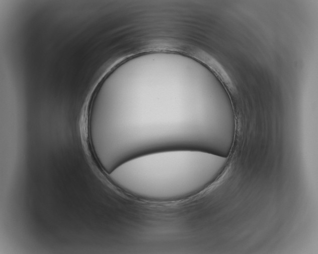 X0000102290844200807250959