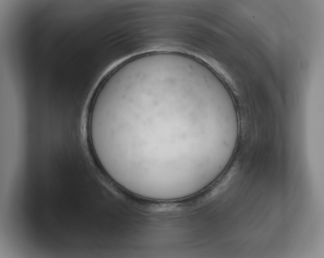 X0000102290846200807250959