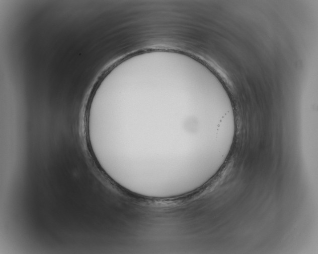 X0000102290848200807250959