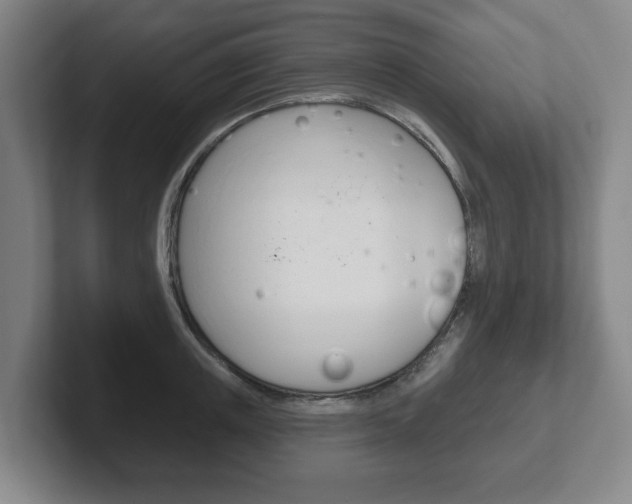 X0000102290851200807250959