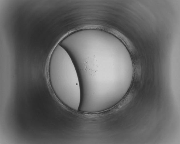X0000102290852200807250959
