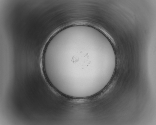X0000102290853200807250959