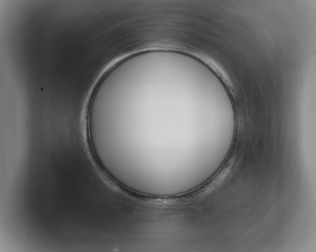 X0000102290854200807250959