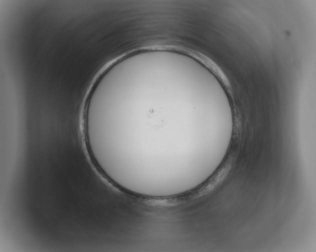 X0000102290855200807250959