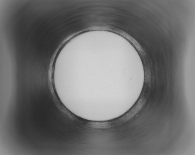 X0000102290856200807250959