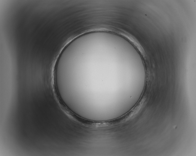 X0000102290858200807250959