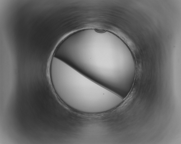 X0000102290862200807250959