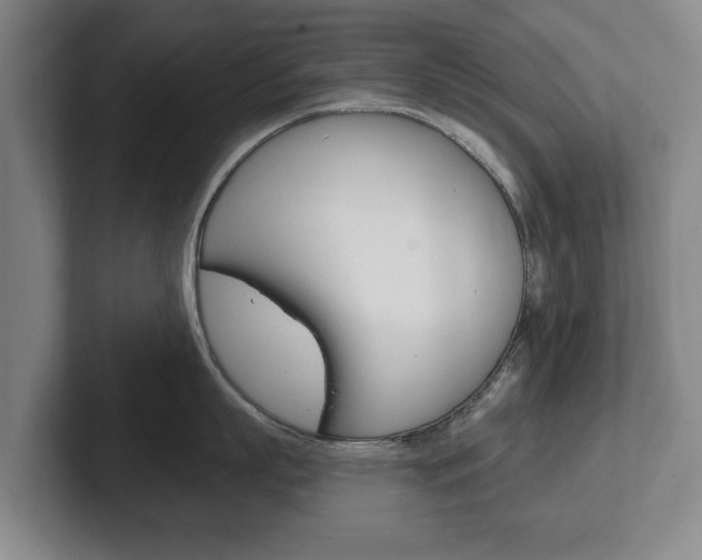 X0000102290863200807251000