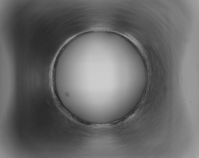X0000102290864200807251000