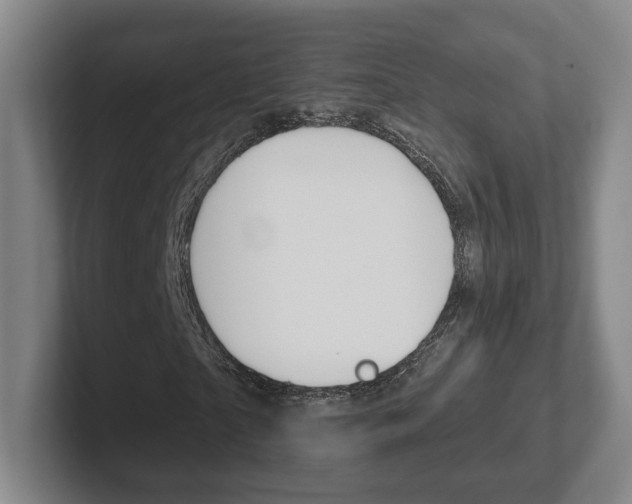 X0000102290865200807250959