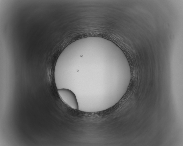 X0000102290866200807250959