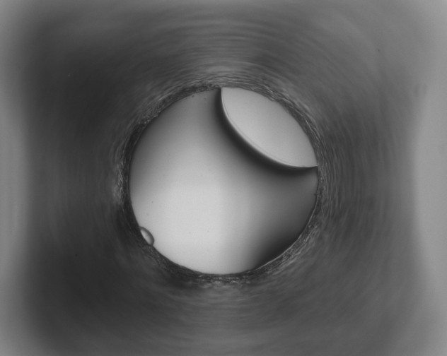 X0000102290868200807250959