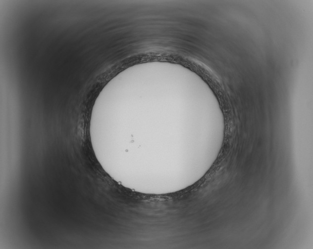 X0000102290869200807250959