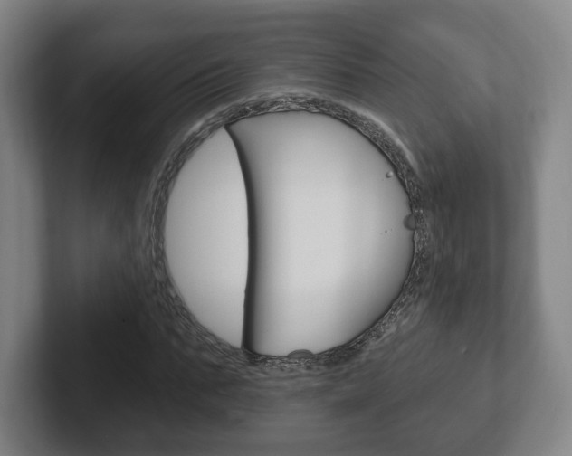 X0000102290871200807250959
