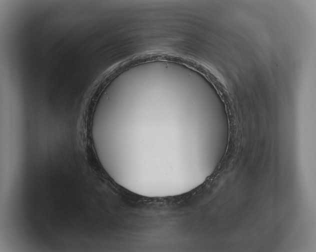 X0000102290872200807250959