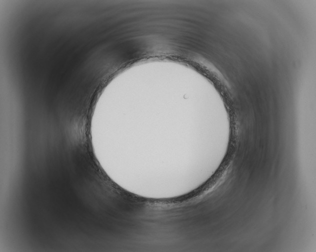 X0000102290873200807250959