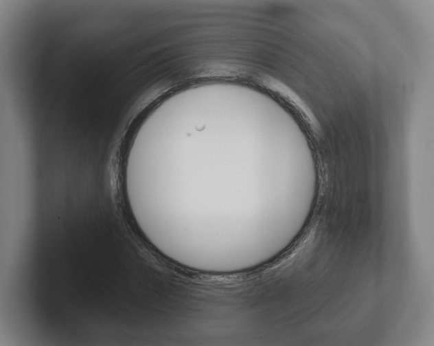X0000102290874200807250959