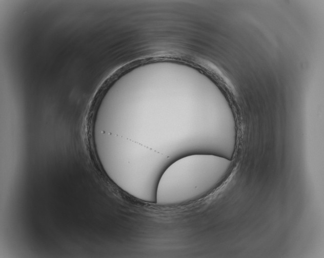 X0000102290875200807250959