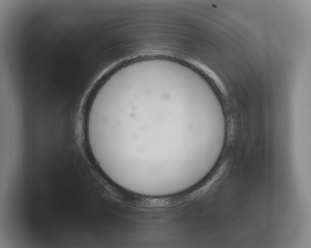 X0000102290878200807250959
