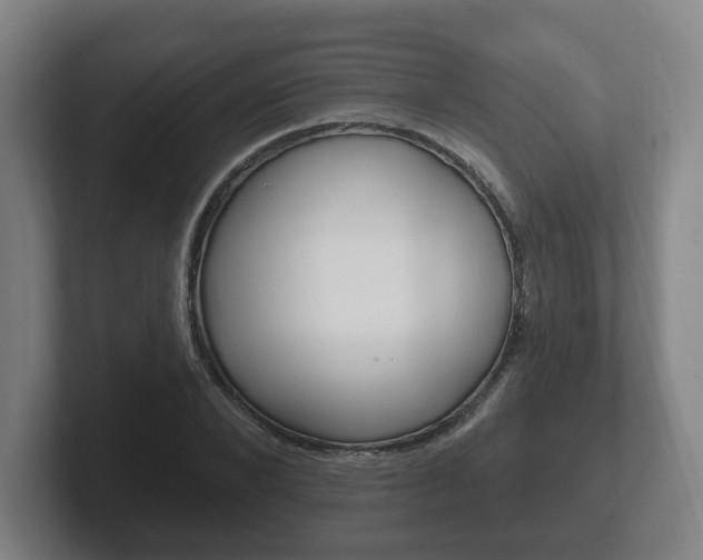 X0000102290880200807250959