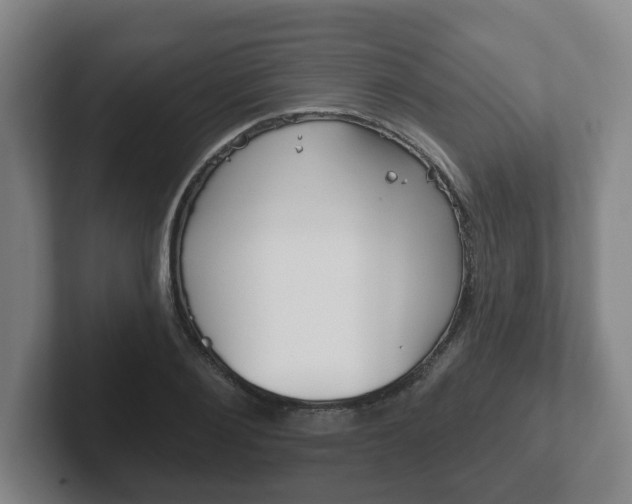 X0000102290884200807250959