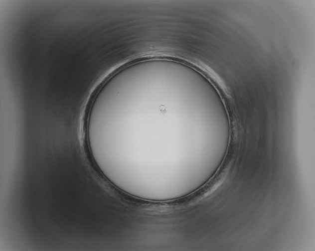 X0000102290885200807250959