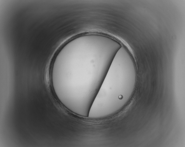 X0000102290887200807250959
