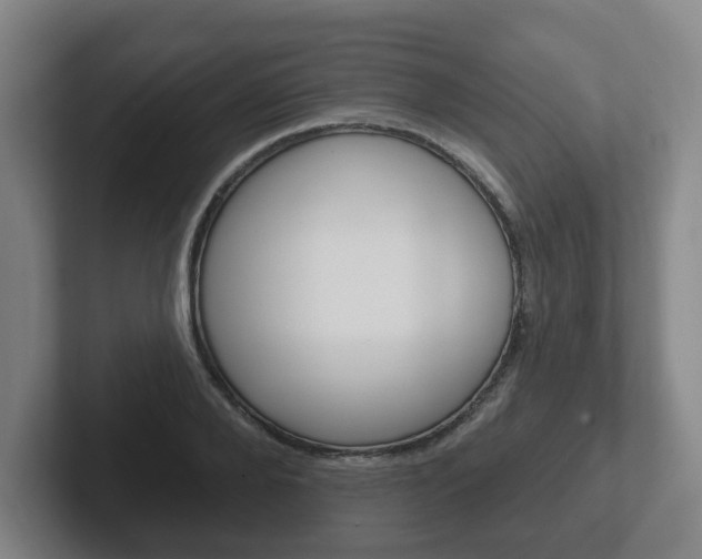 X0000102290888200807250959