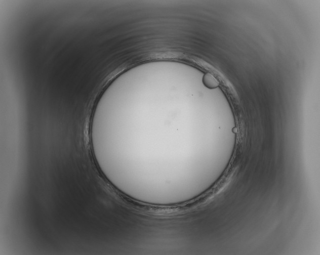 X0000102290889200807250959