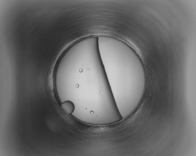 X0000102290891200807250959