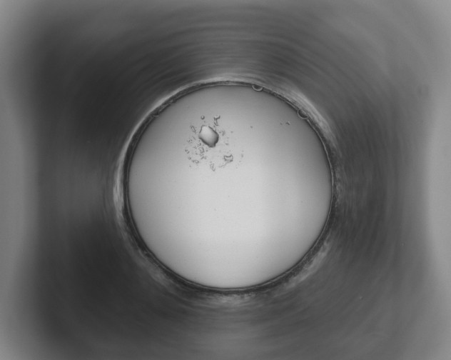 X0000102290892200807250959