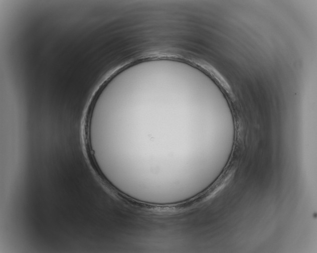 X0000102290893200807250959