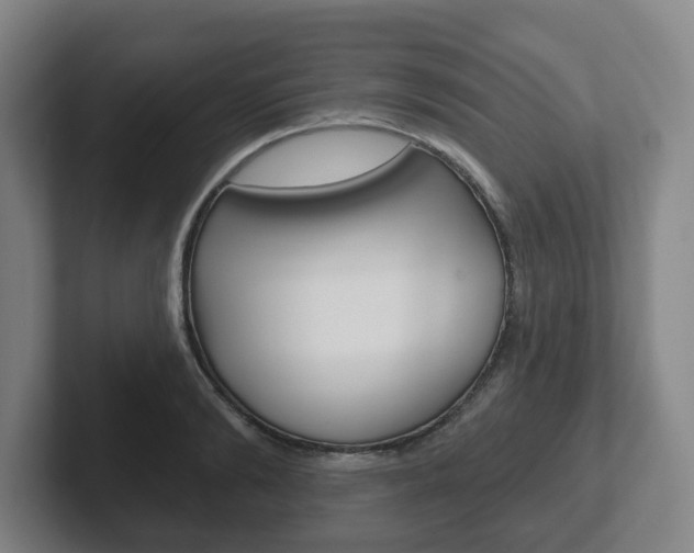 X0000102290894200807250959