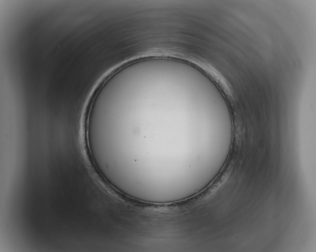 X0000102290896200807250958