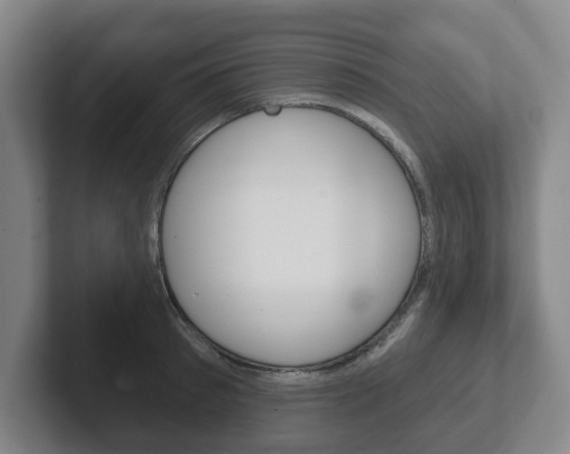 X0000102290897200807250958