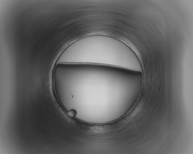 X0000102290898200807250958