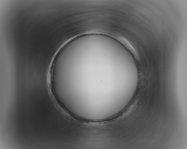 X0000102290900200807250958