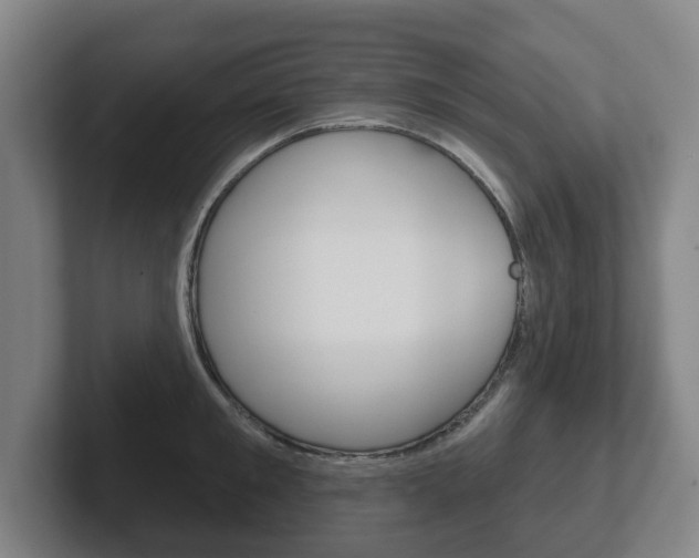 X0000102290901200807250958