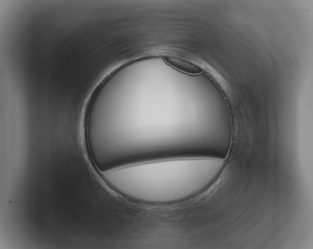 X0000102290902200807250958